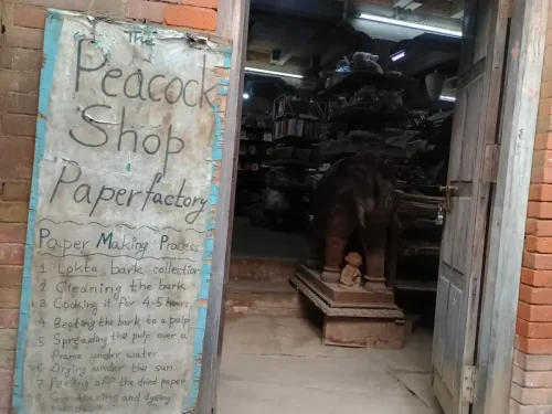 peacock shop