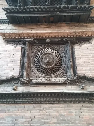 peacock windows